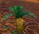 Crystalsong Carrot