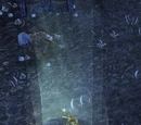 Thalorien Dawnseeker's Remains