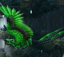Torgos