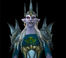 Enigma Vestments
