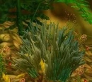Khadgar's Whisker