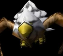 Hawk