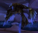 Female Kaliri Hatchling
