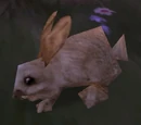 Brown Rabbit Crate