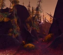 Amberweb Pass
