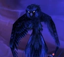 Kaliri Swooper