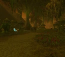 Fallow Sanctuary