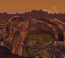 Hive'Zora