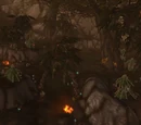 Mosswalker Village