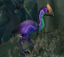 Lost Torranche