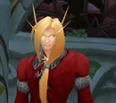 Magister Idonis