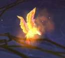 Phoenix Hatchling