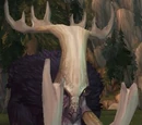Island Shoveltusk