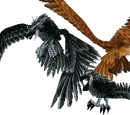 Flight Form