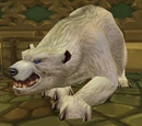 Stabled Hunter Pet