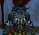 Seer Ravenfeather