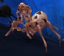 Anub'ar Webspinner