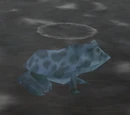 Steam Frog