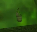 Large Leather Backpacks