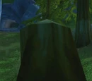 Mysterious Tree Stump