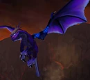 Shadron
