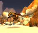 Occulus