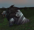 Bull Lion Seal