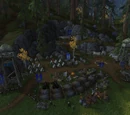 Westfall Brigade Encampment