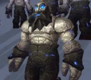 Oathbound Warder