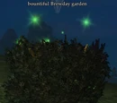 Valla Brewhammer's Special Brew
