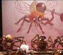 The Village Spiders