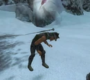 Trapper Stu Wart