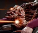 Spawnmother