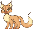 Felynx