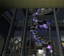Library of Erudin