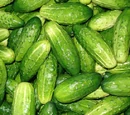 Quick Pickles by A Recipes Wiki user