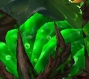 Level 36 Monsters