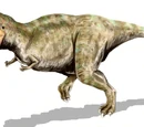 Tyrannosaurus