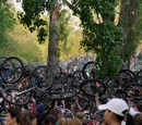Critical Mass Chronicle