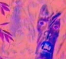 Skunk Ape