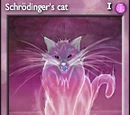 Schrödinger's Cat