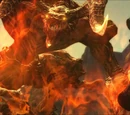 Primal