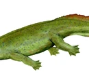 Hynerpeton
