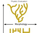 Punctuated equilibrium