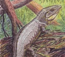 Labyrinthodontia