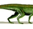 Reptilia