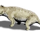 Traversodontidae