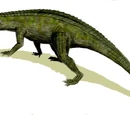 Protosuchia