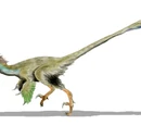 Utahraptor