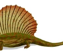 Pelycosauria
